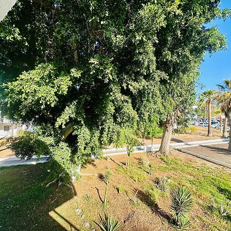 Apartamento Eureka Коста-дель-Силенцио Экстерьер фото